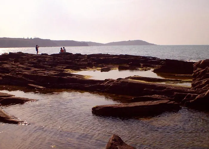 Yavorov בית הארחה צ'רנומורץ