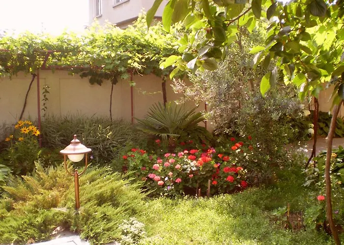 בית הארחה Yavorov 3*